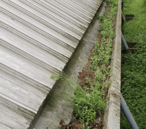 Happy customers in Radlett who trust The Roof Moss Cleaners for gutter cleaning services